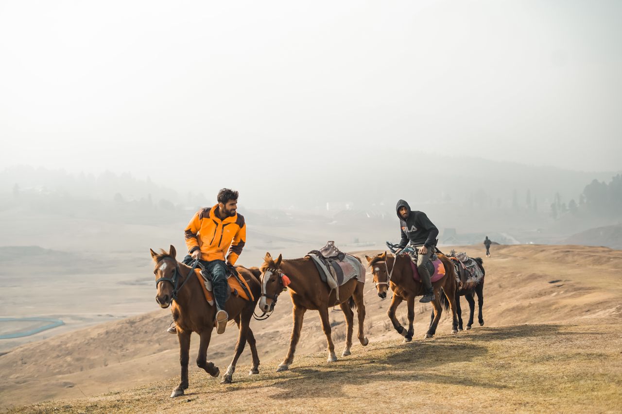 Services Men on horseback riding through a misty, hilly landscape.